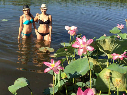 Trip to the lotuses