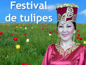 Festival de tulipes